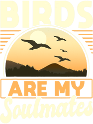 Ornithologists Bird Watching Birder Birds Birds Are My, Png, Png For Shirt, Png Files For Sublimation, Digital Download,