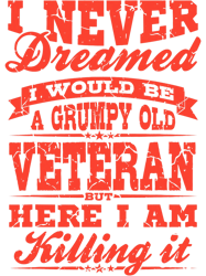 Veterans Day Memorial Day GRUMPY OLD VETERAN Grandpa Soldier, Png, Png For Shirt, Png Files For Sublimation, Digital Dow