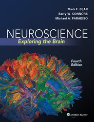 Neuroscience exploring the brain Fourth Edition by Bear, Mark F. Connors, Barry W. Paradiso, Michael A.
