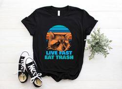 Retro Raccoon Lover T-shirt, Cute Vintage Baby Raccoons Fans Birthday Gift Tshirt Funny Camping Trash Spirit Animal Part