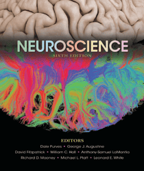 Neuroscience 6th Edition - eBook PDF Instant Download