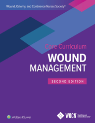 Wound Management 2nd Edition 9781975164591 - eBook PDF Instant Download