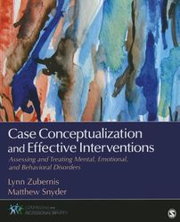 Case Conceptualization and Effective Interventions 1st Edition