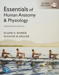 Essentials of Human Anatomy & Physiology (Global Edition)  13th Edition