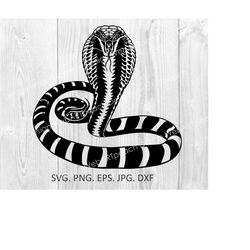 Cobra Snake reptile biting fangs Detailed silhouette Outline Logo SVG Png Clipart Cutting Design Screaming digital downl