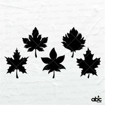 Maple Leaf Svg Bundle | Canadian Leaf Svg | Maple Leaf Silhouette | Maple Leaf Clipart | Dxf Png Eps Files for Cricut Si