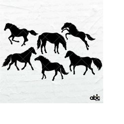 Horse Svg Bundle | Horse Silhouette | Horse Png | Horse Cut File | Western Riding Svg | Dxf Png Eps Files for Cricut Sil