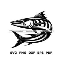 Barracuda Design | svg png dxf eps pdf | transparent vector graphic design cut print dye sub laser engrave files commerc