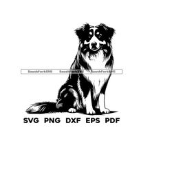 Australian Shepherd Dog Design | svg png dxf eps pdf | vector graphic cut file laser clip art | instant digital download