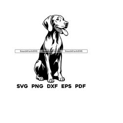 Vizsla Dog Sitting Design | svg png dxf eps pdf | vector graphic cut file laser clip art | instant digital download comm