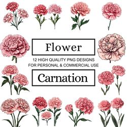 Carnation Flower Clipart Designs for Teachers - Perfect for Your Classroom!