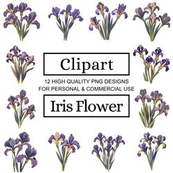 Fun and Creative Iris Flower Clipart Designs | Use Them for Anything!