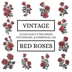 12 Vintage Red Rose Clipart Designs | Add a Touch of Elegance to Your Classroom