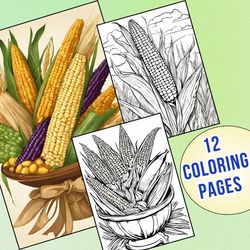 Learn & Color! 12 Educational Corn Coloring Pages for Elementary School Grade