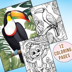 12 Rainforest Animals Coloring Pages | A Fun and Educational Activity for Kids