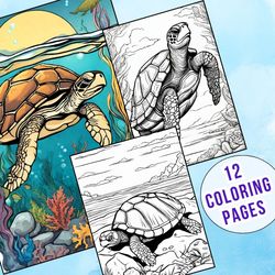 12 Amazing Turtle Coloring Pages