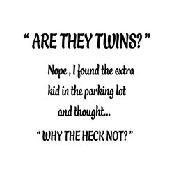ARE THEY TWINS Nope I Found The Extra Kid In The Parking Lot And Throught Why The Heck Not Svg, Funny Shirt, Funny Sayin