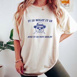 It Is What It Is And It Is Not Great - Unisex T Shirt, Funny T Shirt, Meme T Shirt, Cartoon Bear T Shirt