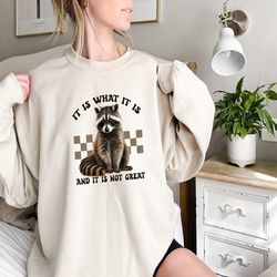 It Is What It Is and It Is not Great Sweatshirt, Racoon Meme Sweatshirt, Racoon Lover Sweatshirt, Animal Lover Hoodie