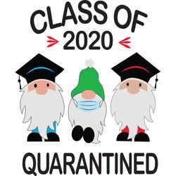 Class Of 2020 Quarantined, Back To School, Gnomies Svg, Gromies Class, School Svg, Love School, School Gift, School Shir