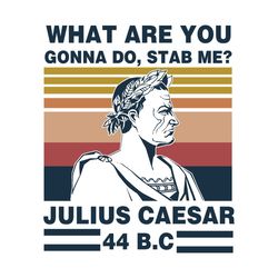 Retro Vintage What Are You Gonna Do Stab Me Julius Caesar svg, Trending Svg, Julius Caesar svg, Julius Caesar gift, Juli