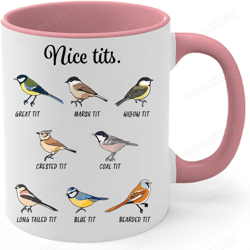 Fowl Language Bird Coffee Mug, Kitchen And Dining, Nice Tits Mug, Gift For Birdwatchers, Bird Lover Gift For Women, Bird