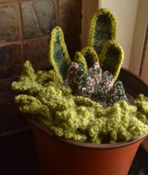 Assorted Crochet Plants Amigurumi Crochet Patterns, Crochet Pattern