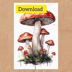 Digital drawing of fly agaric mushrooms, instant download