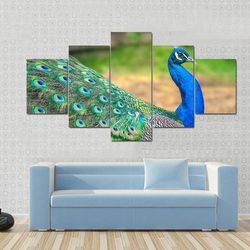 walking peacock 1 animal 5 pieces canvas wall art, large framed 5 panel canvas wall art