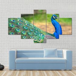 walking peacock 2 animal 5 pieces canvas wall art, large framed 5 panel canvas wall art