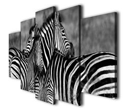 Zebra Family Animal 5 Pieces Canvas Wall Art, Large Framed 5 Panel Canvas Wall Art