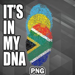 African PNG Palauan And South African Vintage Heritage DNA Flag PNG For Sublimation Print Unique For Cricut