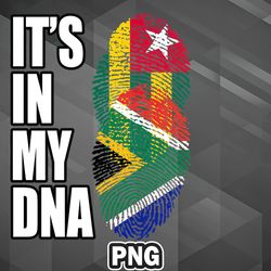 African PNG Togolese And South African Mix Heritage DNA Flag PNG For Sublimation Print Printable For Apparel, Mug