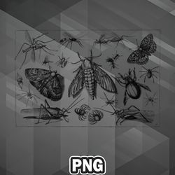Artist PNG Insects Etching PNG For Sublimation Print High Quality For Silhoette