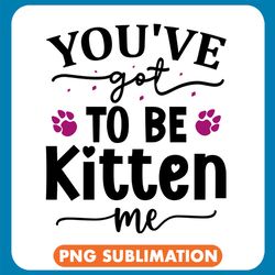 You_Ve Got To Be Kitten Me Png