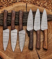 SET OF 6PCS CUSTOM HANDMADE DAMASCUS STEEL BBQ KNIVES KITCHEN KNIVES WITH LEATHER SHEATH
