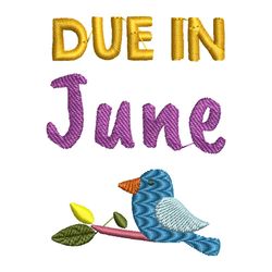 Due In June Little Bird Embroidery Design Instant Download