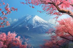 Fuji Mountain With Cherry Blossom Digital Painting