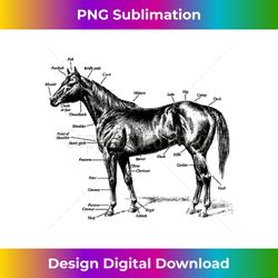 Big Texas Anatomy of a Horse - Minimalist Sublimation Digital File - Customize with Flair