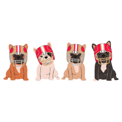 Funny 49ers Football Dog Helmet PNG