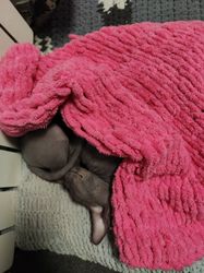 Cat blanket pink