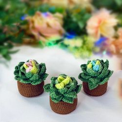 Succulent crochet potted plants Set of 3 fake flowers home decor Unique gift