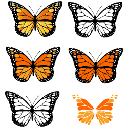 Butterfly Lovers SVG, Floral Butterfly SVG