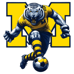 Vintage University Of Michigan Wolverines Football PNG
