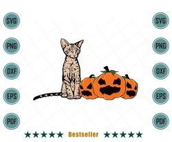 Halloween Devon Rex Cat Pumpkin Svg