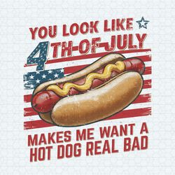 You Look Like The 4th Of July Hot Dog USA Flag PNG