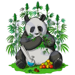 Panda Bear Weed, Weed Hippie, Trending Svg, Funny Weed Apparel, Smoke Weed, Pot Smoker Svg, Ganja Svg, Cannabis Svg, Mar