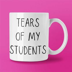 Funny Teacher Mug, Teacher Mug, Gift for Teacher, Teacher Gift, Teacher Mugs, Professor Mug, Gift for Professors, Funny