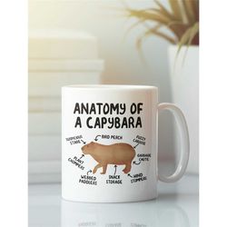 anatomy of a capybara, capybara mug, funny capybara gifts, capybara lover coffee cup, cute cartoon sarcastic capybara pr