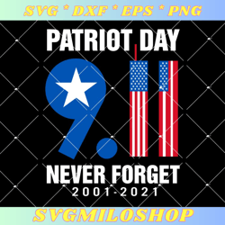 20 Years Have Passed Svg, Never Forget 911 Svg, Patriotic